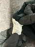 Caslon Black Sleeveless Blouse Size 3X - photo 8