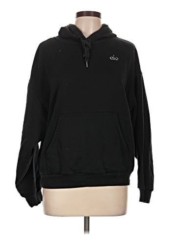 Alo Pullover Hoodie (view 1)