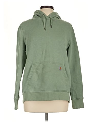 Carhartt Pullover Hoodie (view 1)