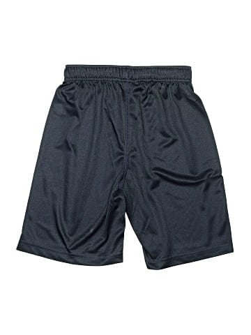 Tommy Hilfiger Athletic Shorts (view 2)