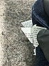 Zara Blue Jeans Size 10 - photo 8