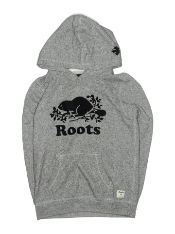 Roots Pullover Hoodie (view 1)