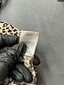 ABound 100% Rayon Animal Print Tan Casual Dress Size XXL - photo 8