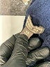 Point Sur Color Block Blue Turtleneck Sweater Size XS - photo 10