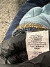 Madewell Solid Blue Jeans Size 28 waist - photo 9
