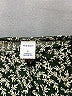 Old Navy Green Casual Dress Size L - photo 7