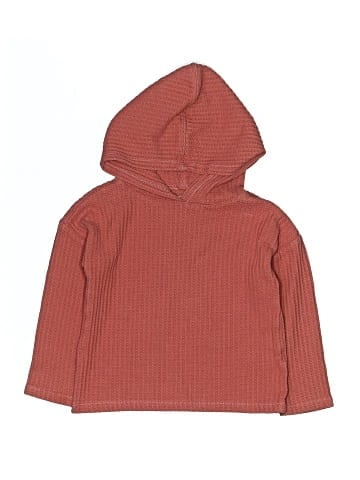 Garanimals Pullover Hoodie (view 1)