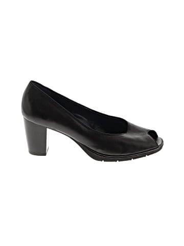 Ara Heels (view 1)