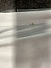Unbranded Ivory Short Sleeve Turtleneck Size XS - photo 7