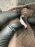 Free People Tweed Brown Shorts Size 2 - photo 5