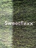 Sweetflexx Green Active Pants Size 14 - photo 7