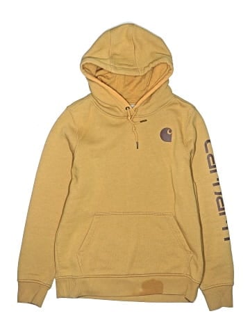 Carhartt Pullover Hoodie (view 1)