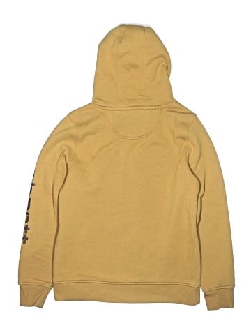 Carhartt Pullover Hoodie (view 2)