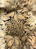 Topshop Animal Print Gold Casual Pants Size 4 - photo 7