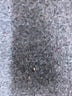 Topshop Animal Print Gold Casual Pants Size 4 - photo 9