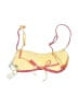 Aerie Orange Swimsuit Top Size 10 - photo 2