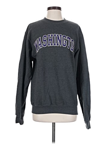 Champion Sweatshirt (view 1)
