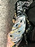 Ann Taylor LOFT Paisley Blue Casual Pants Size XL - photo 8
