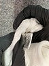 Flax Ivory Long Sleeve T-Shirt Size 10 (M) - photo 8