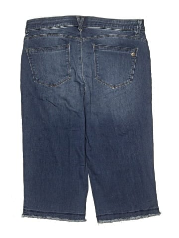 Democracy Denim Shorts (view 2)