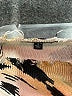 Fate 100% Cotton Animal Print Tan Pullover Sweater Size S - photo 7