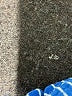 Crewcuts Stripes Blue Board Shorts Size 10 - photo 7