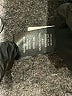 Lila Rose Stripes Gray Blazer Size M - photo 7