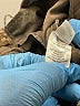 Crosby Gray Casual Pants Size 2 - photo 8