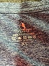 Icyzone Tweed Blue Active T-Shirt Size XL - photo 7