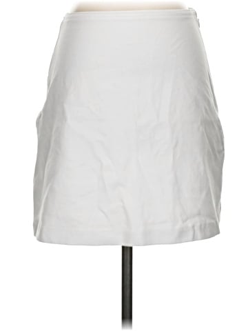 Everlane Casual Skirt (view 1)