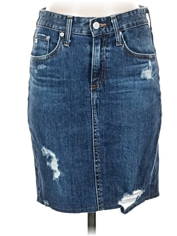 Adriano Goldschmied Denim Skirt (view 1)