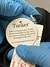 Tucker Black Cocktail Dress Size XS - photo 10