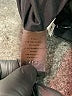 Ann Taylor Solid Black Wool Skirt Size 10 - photo 5