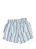Briggs Stripes Blue Shorts Size S - photo 2