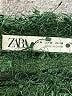 Zara Green Sleeveless Top Size M - photo 7
