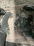 Evolution and Creation Gray Leggings Size M - photo 4