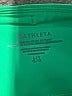Athleta Solid Green Active Pants Size L (tall) - photo 7