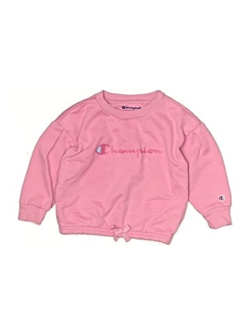 Champion Sweatshirt (view 1)