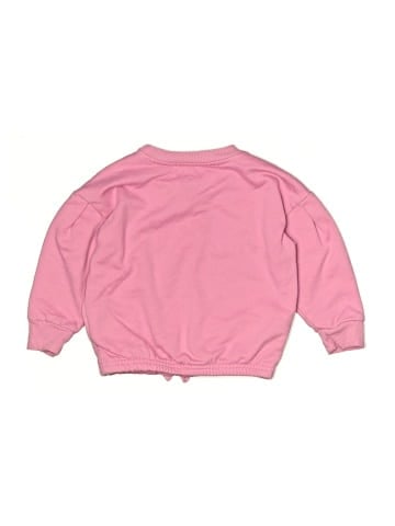 Champion Sweatshirt (view 2)
