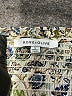 Rose + Olive 100% Polyester Paisley Ivory Long Sleeve Blouse Size L - photo 7