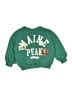 Zara Green Pullover Sweater 12-18 MO / 18 MO - photo 1