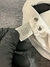 Christopher & Banks Ivory Active Pants Size 12 - photo 8
