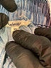 Splendid Blue Denim Shorts Size XS - photo 3
