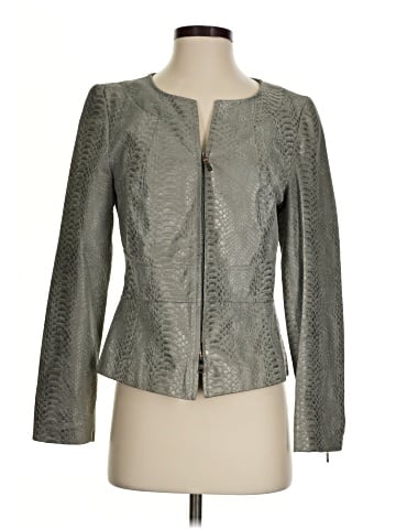 Classiques Entier Leather Jacket (view 1)