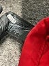 The North Face 100% Polyamide Red Snow Jacket Size S - photo 7