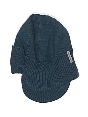 Carhartt Beanie (view 1)