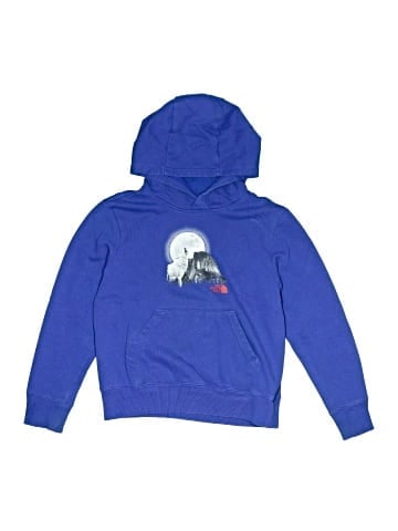 The North Face Pullover Hoodie (view 1)