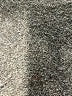 Mud Pie Tan Turtleneck Sweater One size - photo 7