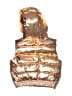 Janie and Jack 100% Polyester Metallic Gold Vest Size 6-12 mo - photo 2