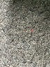 Jones New York 100% Wool Black Wool Pants Size 4 (petite) - photo 8